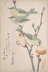 Japanese White-eyes on a Branch of Peach Tree, from the Series An Array of Birds, from Spring Rain Surimono Album (vol. 3)