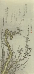 Old Plum Tree
