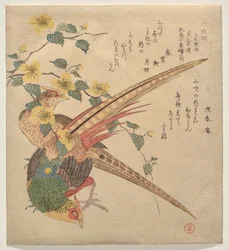 Pair of Chinese Pheasants and a Branch of Yamabuki Flowers