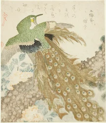 Peacock, Pine Tree, and Peonies, from the series 