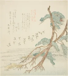 Pine Trees, from the series "Tosa Diary for the Shofudai, Hisakataya, and Bunbunsha"