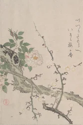 Roses and Plum Blossoms