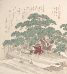 Shrine Under a Big Pine Tree