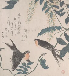 Swallows and Wisteria