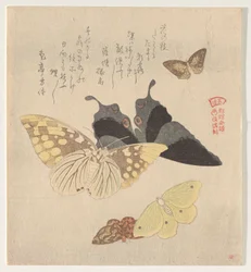 The Painting Manual of Flock of Butterflies
