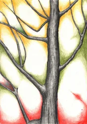 Autumn Tree Glow