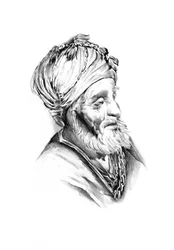 Bearded Sage Portrait