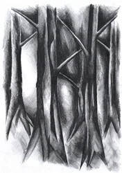 Dark Mysterious Forest