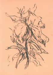 Dynamic Charcoal Growth