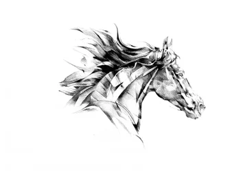 Dynamic Horse Flow