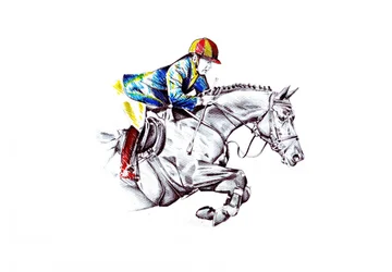 Dynamic Horse Jump