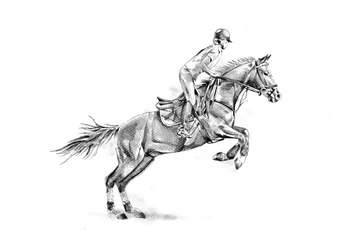 Equestrian Horse Jump
