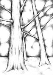 Ethereal Forest Light