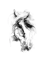 Expressive Horse Sketch