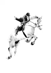 Falling Rider Show Jump