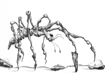 Fantasy Spider Sketch
