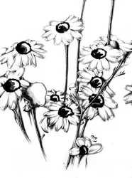 Floral Nature Art Drawing Sketch 15