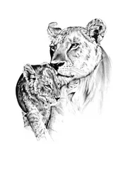Lioness Cub Love