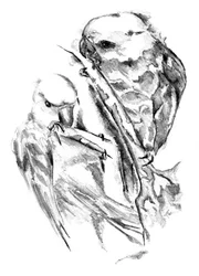 Loving Parakeets Sketch