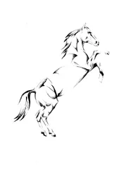 Majestic Rearing Horse
