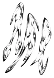 Monochrome Fluid Forms