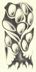 Mysterious Organic Form