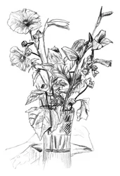 Pencil Floral Still Life