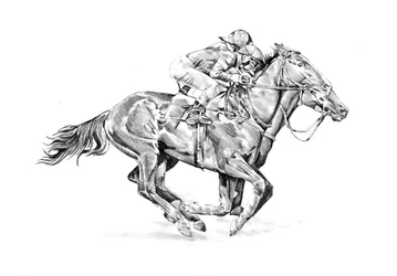 Racing Horse and Jockey