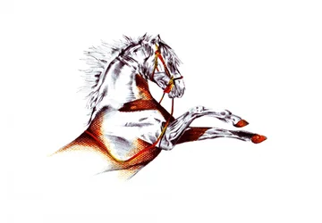 Rearing White Horse