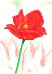 Red Crayon Flower