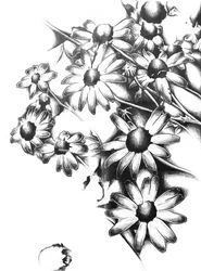 Shaded Floral Bloom