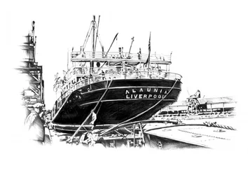 Shipyard Dry Dock
