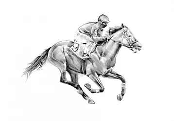 Speeding Racehorse and Jockey