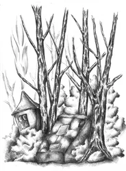 Surreal Forest House