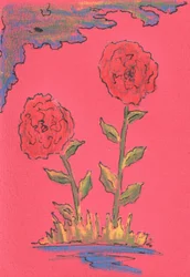 Two Blooming Roses