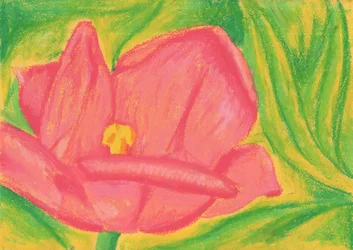 Vibrant Pink Bloom