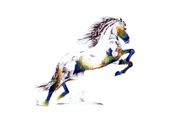 Vibrant Rearing Horse