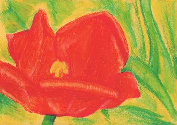 Vibrant Red Tulip