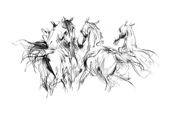 Wild Horse Movement