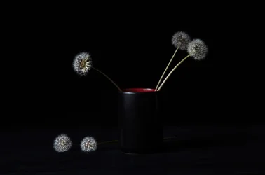 Elegant Dandelions Vase