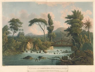The Cabaritta River, from Six Views in the Island of Jamaica, lithograph by I. Merigot