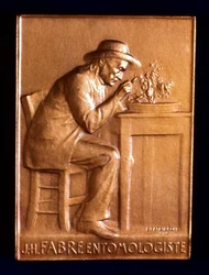 Jean Henri Fabre, French Entomologist, 1911