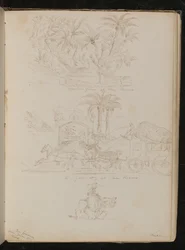 A palm grove at San Remo, a horse-drawn carriage in front of 
