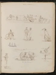 Studies of Men and Women 
