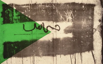 Flag II