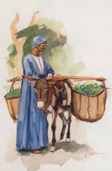 People of Egypt: Vegetable-Seller, Khodari
