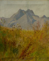 Lomnický Peak