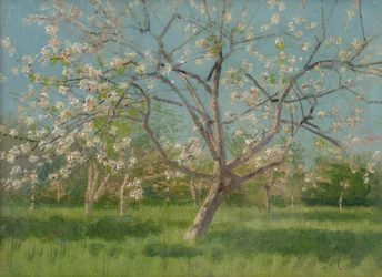 Orchard Trees in Blossom