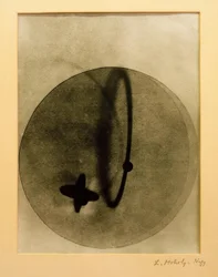 Photogram (Positive)