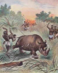 Hunting Rhino in Africa